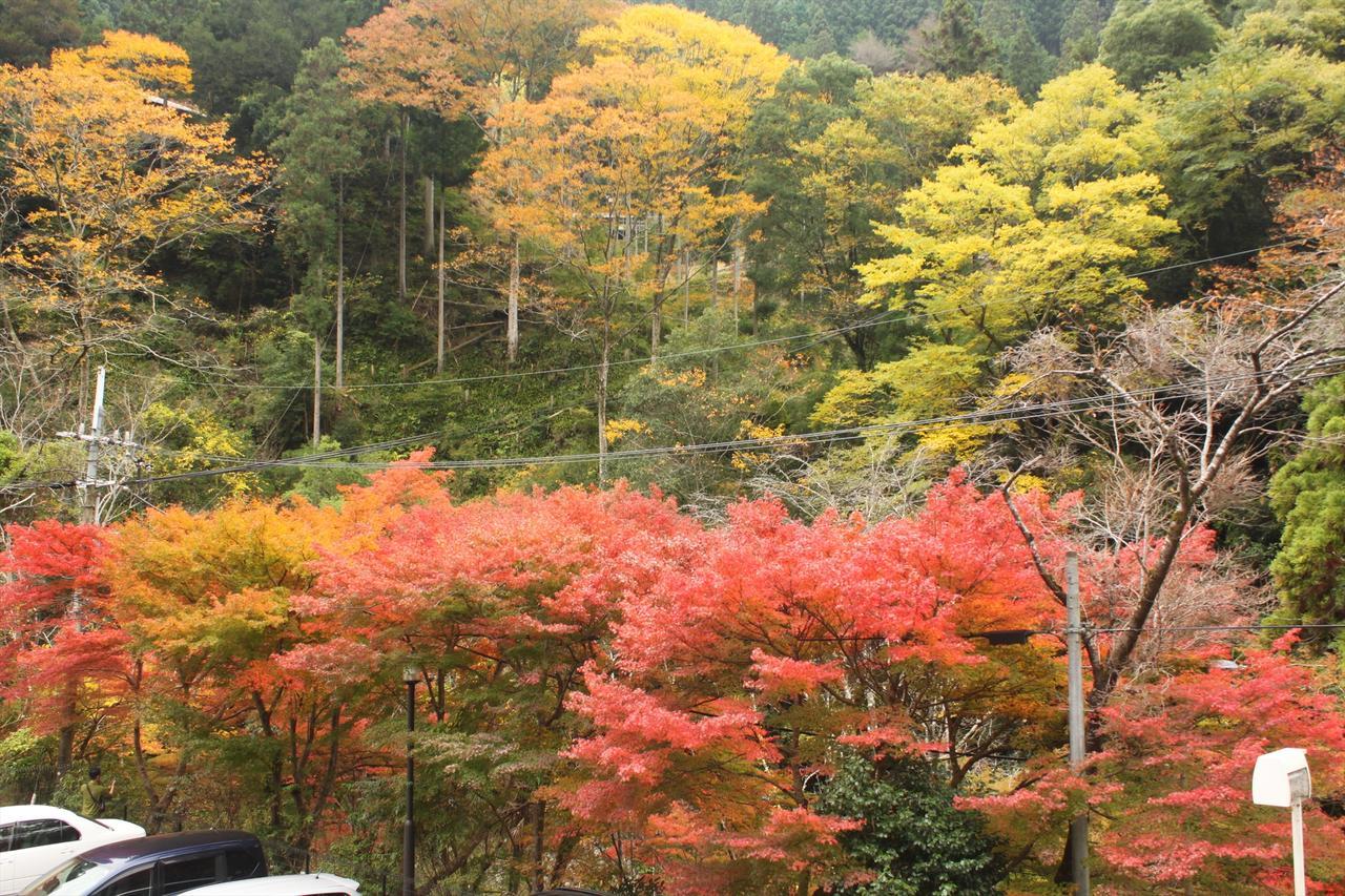 Yadori Onsen Iyashinoyu Vila Hashimoto  Exterior foto